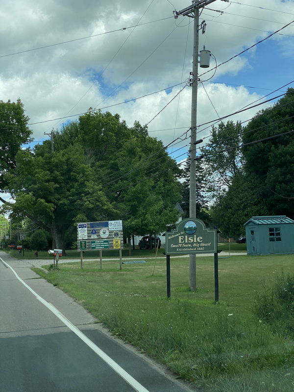 Elsie - July 12 2020 (newer photo)